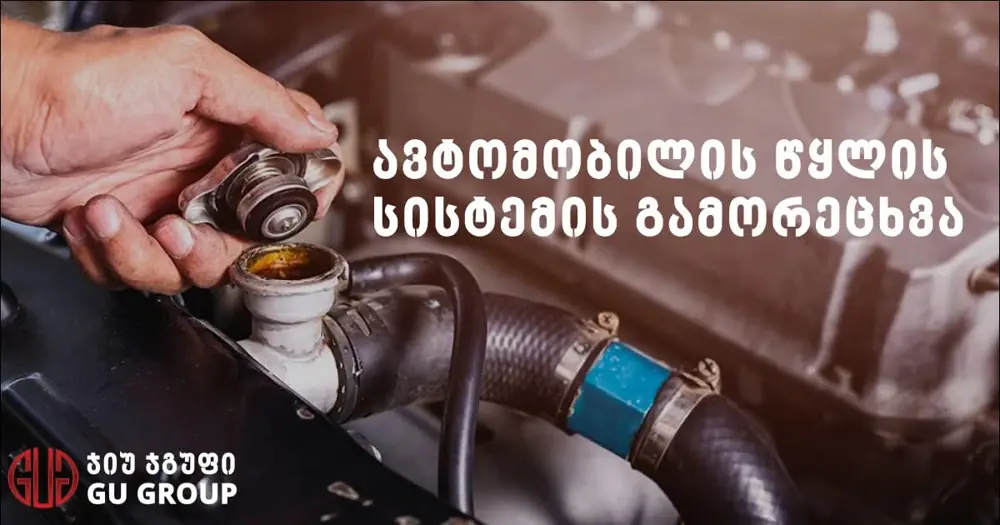 წყლის სისტემის შემოწმება, გამორეცხვა